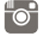 Gray Instagram camera logo icon